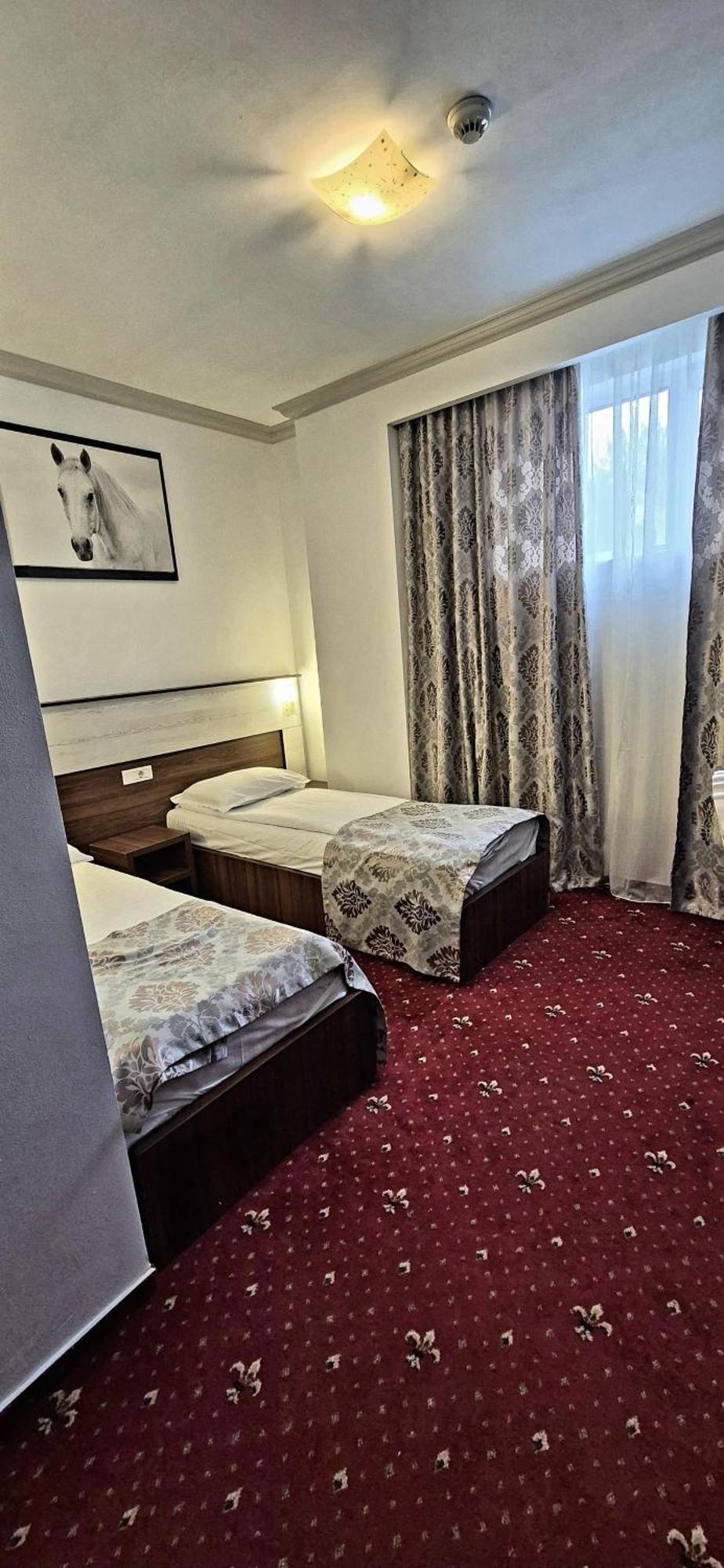 Hostel Orhideea Buzau Exterior photo